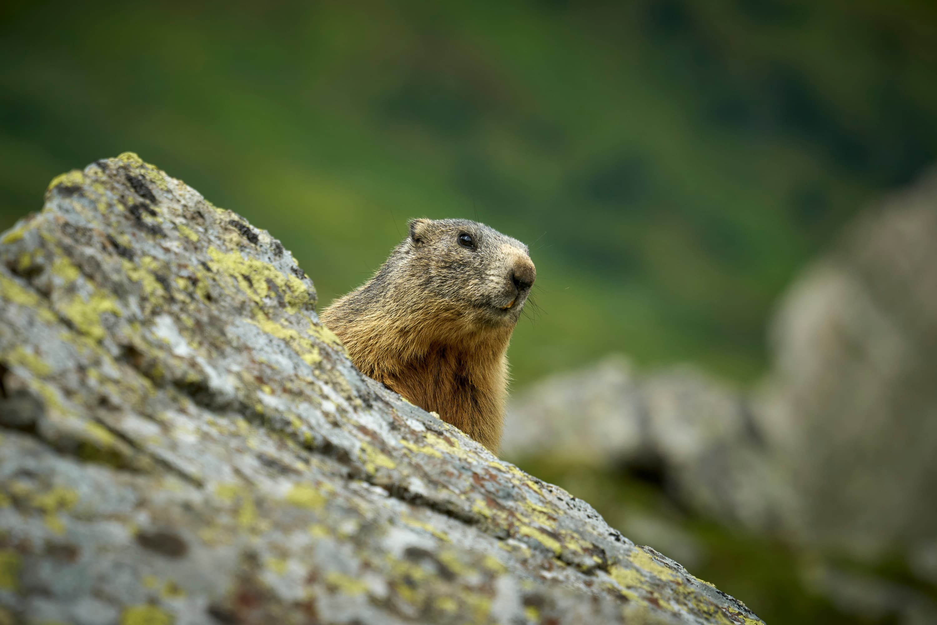 Lienzer Dolomiten photo tour