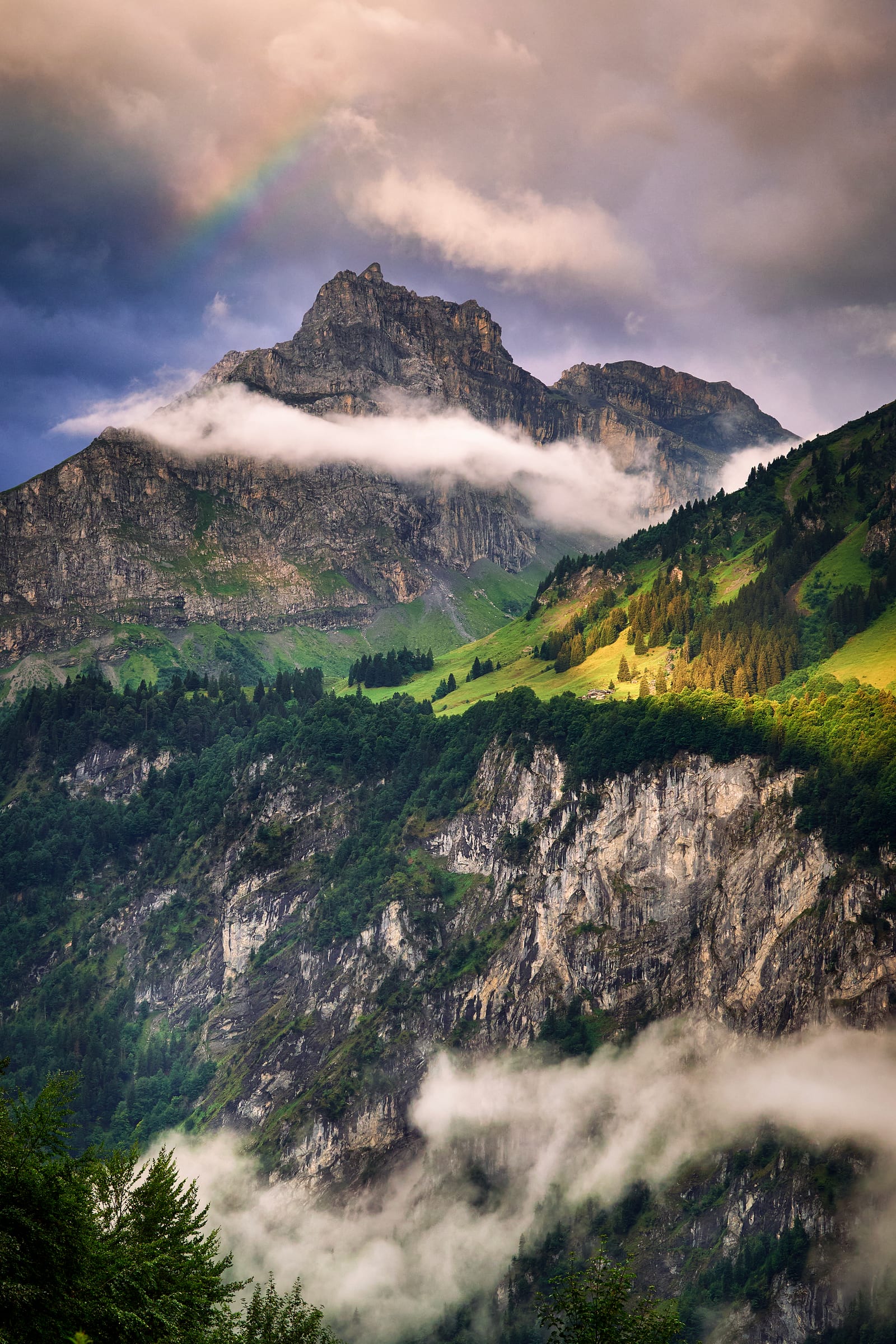 Alpine Light